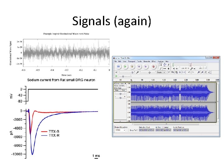 Signals (again) 