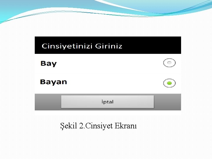 Şekil 2. Cinsiyet Ekranı 