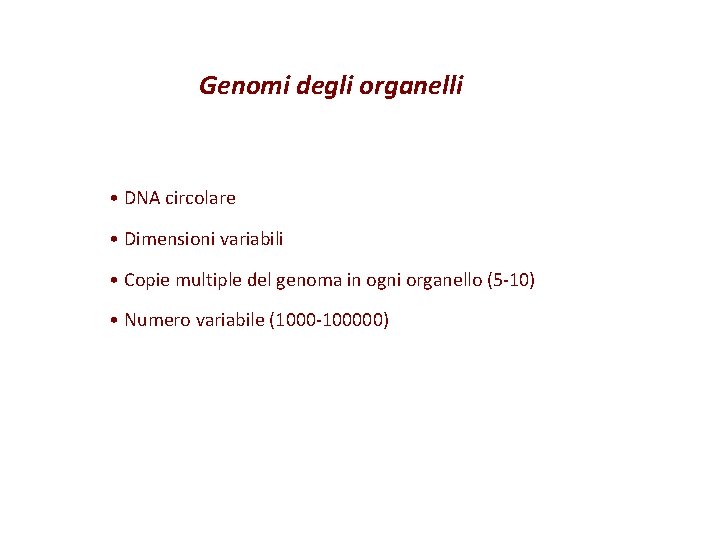 Genomi degli organelli • DNA circolare • Dimensioni variabili • Copie multiple del genoma