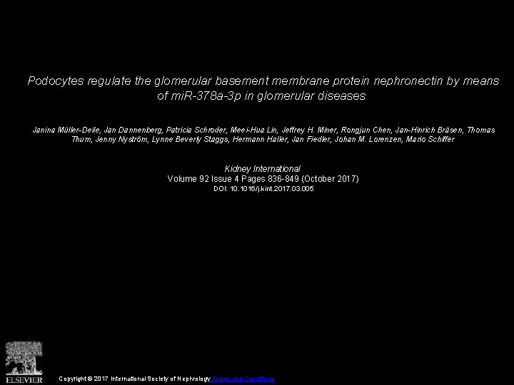 Podocytes regulate the glomerular basement membrane protein nephronectin by means of mi. R-378 a-3