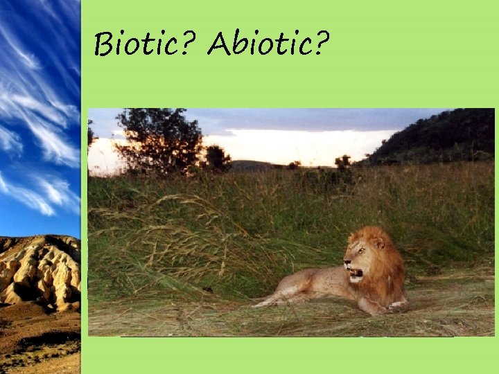 Biotic? Abiotic? 