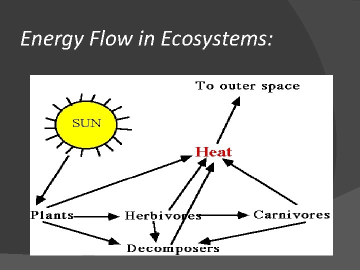 Energy Flow in Ecosystems: 