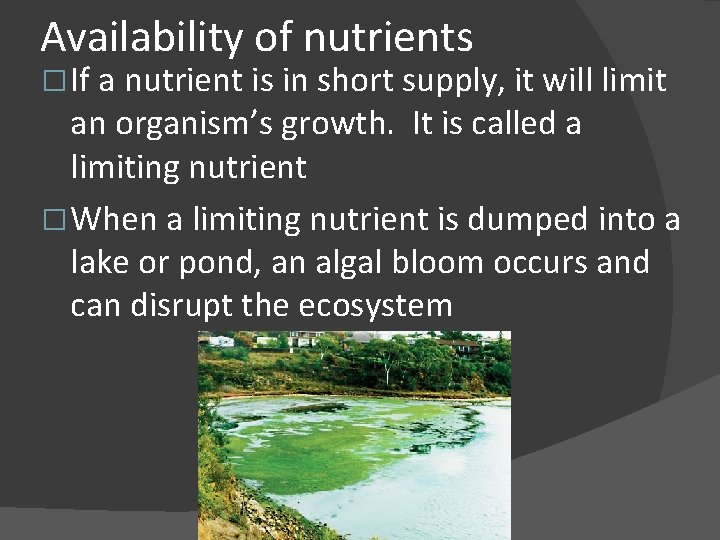 Availability of nutrients � If a nutrient is in short supply, it will limit