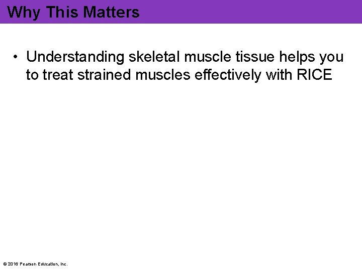 Why This Matters • Understanding skeletal muscle tissue helps you to treat strained muscles