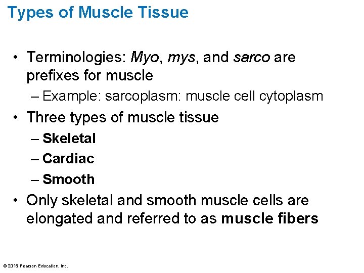 Types of Muscle Tissue • Terminologies: Myo, mys, and sarco are prefixes for muscle