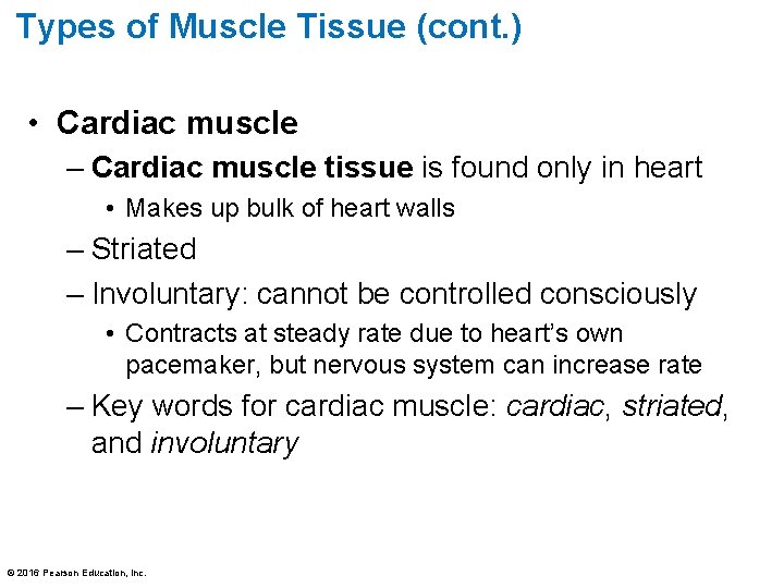 Types of Muscle Tissue (cont. ) • Cardiac muscle – Cardiac muscle tissue is