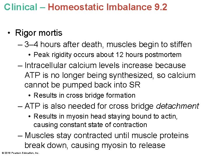 Clinical – Homeostatic Imbalance 9. 2 • Rigor mortis – 3– 4 hours after