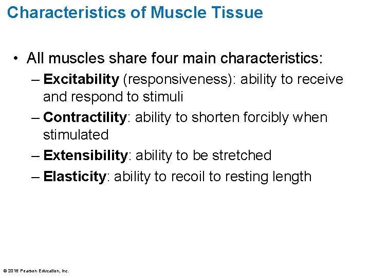 Characteristics of Muscle Tissue • All muscles share four main characteristics: – Excitability (responsiveness):