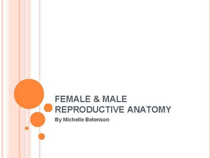 FEMALE & MALE REPRODUCTIVE ANATOMY By Michelle Betenson 