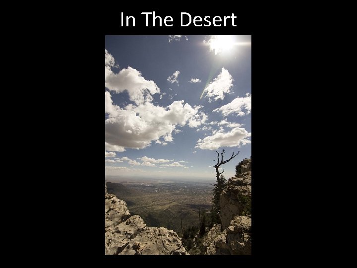 In The Desert 