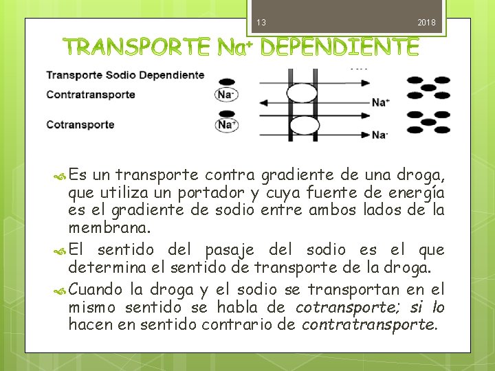 13 Es 2018 un transporte contra gradiente de una droga, que utiliza un portador