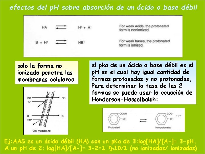 efectos del p. H sobre absorción de un ácido o. Maybase 19 20, 2021