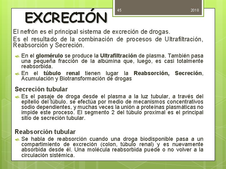 EXCRECIÓN 45 2018 El nefrón es el principal sistema de excreción de drogas. Es