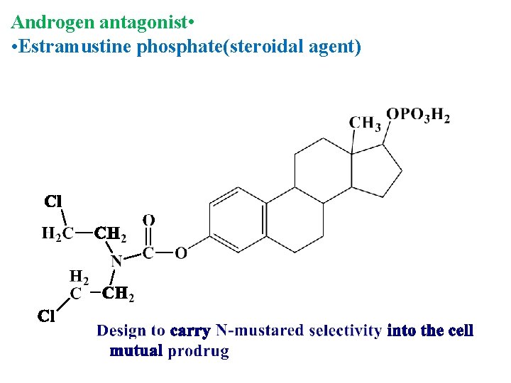 Androgen antagonist • • Estramustine phosphate(steroidal agent) 