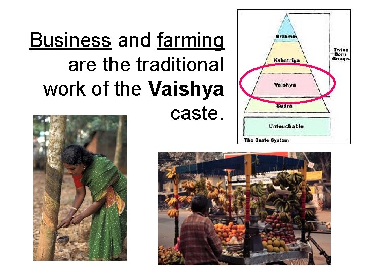 Business and farming are the traditional work of the Vaishya caste. Business and farming are the traditional work of the Vaishya caste.