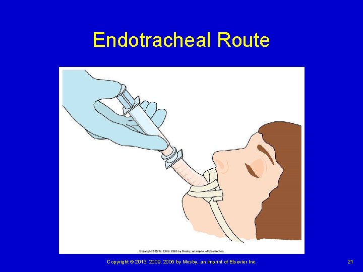 Endotracheal Route Copyright © 2013, 2009, 2005 by Mosby, an imprint of Elsevier Inc.