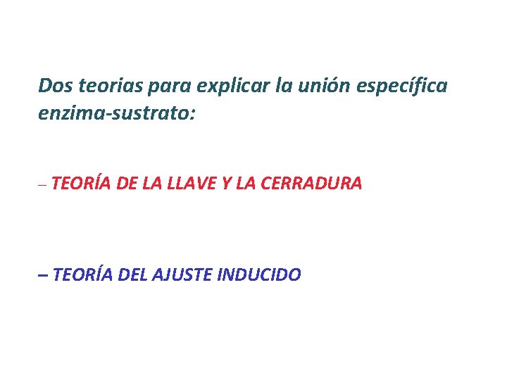 Dos teorias para explicar la unión específica enzima-sustrato: – TEORÍA DE LA LLAVE Y Dos teorias para explicar la unión específica enzima-sustrato: – TEORÍA DE LA LLAVE Y