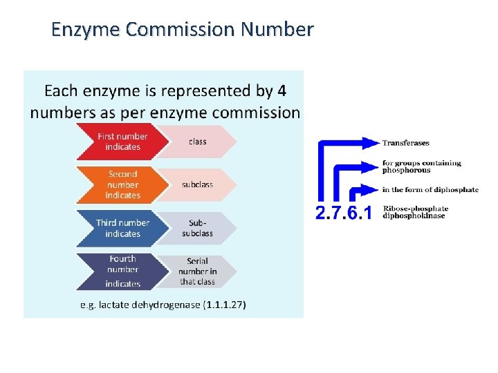 Enzyme Commission Number Enzyme Commission Number