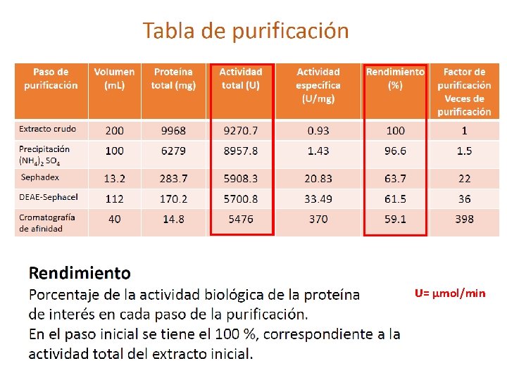 U= µmol/min U= µmol/min