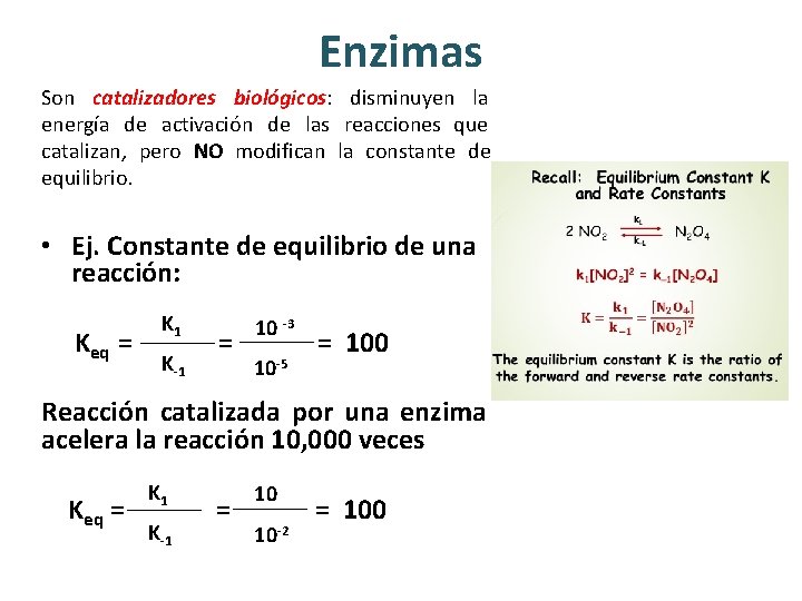 Enzimas Son catalizadores biológicos: disminuyen la energía de activación de las reacciones que catalizan, Enzimas Son catalizadores biológicos: disminuyen la energía de activación de las reacciones que catalizan,