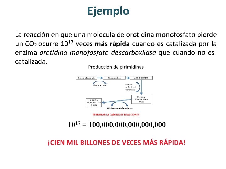 Ejemplo La reacción en que una molecula de orotidina monofosfato pierde un CO 2 Ejemplo La reacción en que una molecula de orotidina monofosfato pierde un CO 2