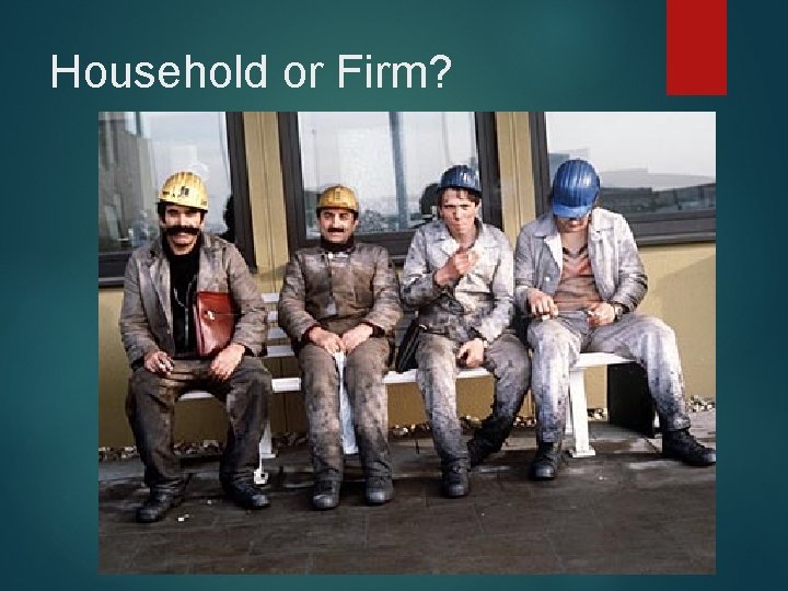 Household or Firm? 