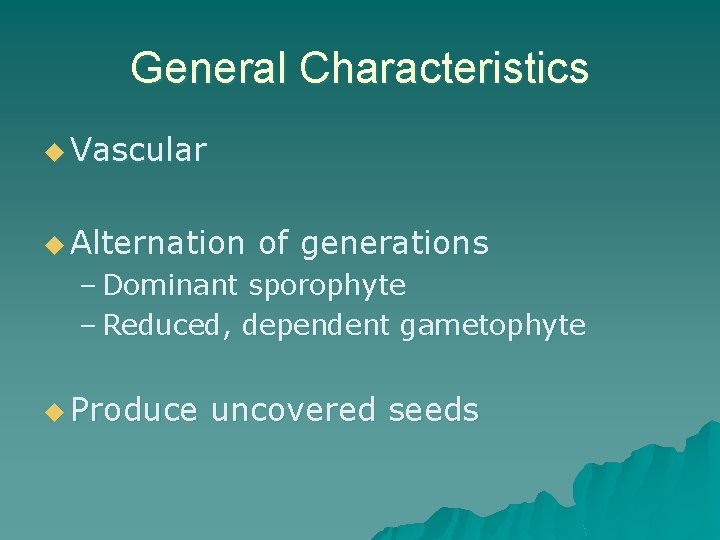 General Characteristics u Vascular u Alternation of generations – Dominant sporophyte – Reduced, dependent