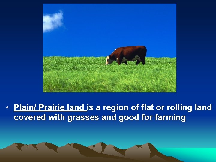 • Plain/ Prairie land is a region of flat or rolling land covered • Plain/ Prairie land is a region of flat or rolling land covered