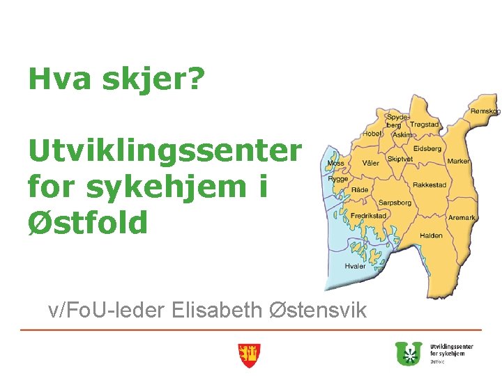 Hva skjer? Utviklingssenter for sykehjem i Østfold v/Fo. U-leder Elisabeth Østensvik 