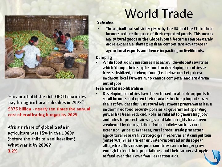 World Trade Subsidies • The agricultural subsidies given by the US and the EU