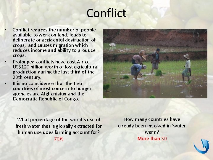 Conflict • • • Conflict reduces the number of people available to work on