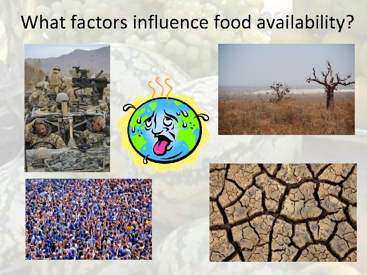 What factors influence food availability? 