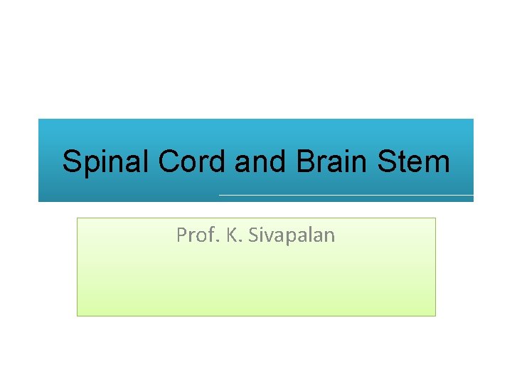 Spinal Cord and Brain Stem Prof. K. Sivapalan 