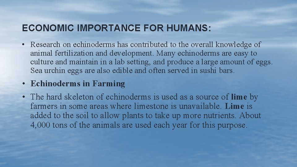ECONOMIC IMPORTANCE FOR HUMANS: • Research on echinoderms has contributed to the overall knowledge ECONOMIC IMPORTANCE FOR HUMANS: • Research on echinoderms has contributed to the overall knowledge