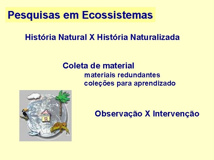 Pesquisas em Ecossistemas História Natural X História Naturalizada Coleta de material materiais redundantes coleções