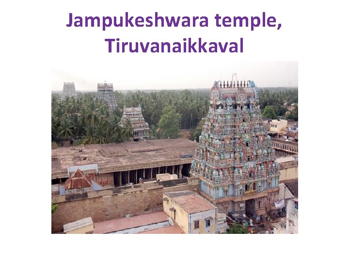 Jampukeshwara temple, Tiruvanaikkaval 