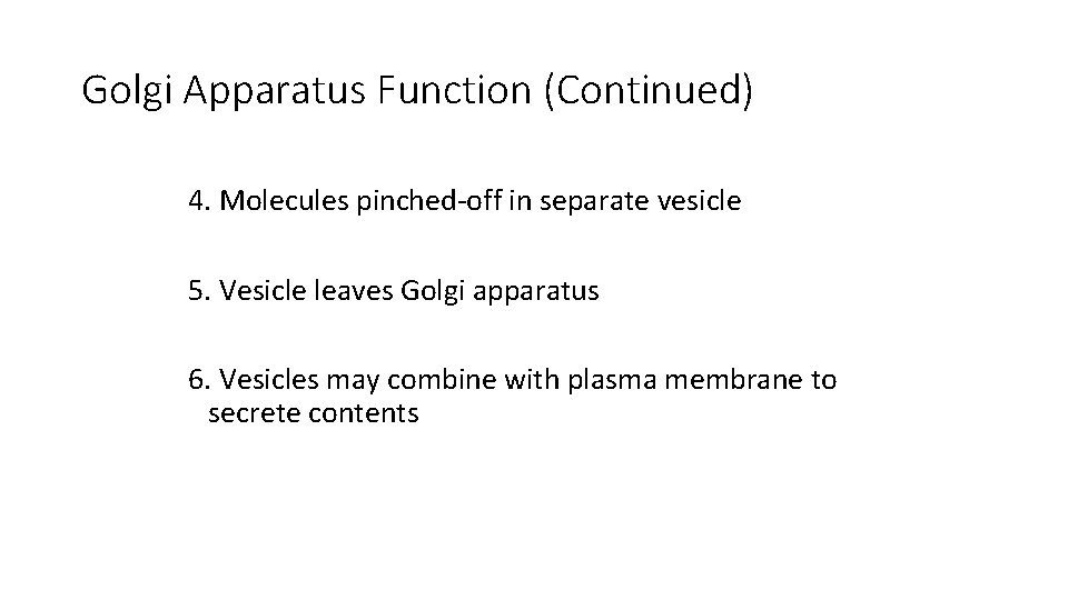 Golgi Apparatus Function (Continued) 4. Molecules pinched-off in separate vesicle 5. Vesicle leaves Golgi Golgi Apparatus Function (Continued) 4. Molecules pinched-off in separate vesicle 5. Vesicle leaves Golgi