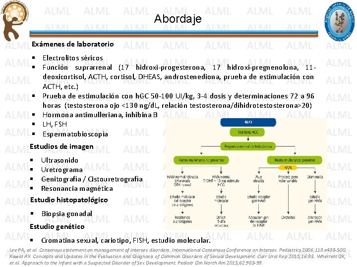 Abordaje Exámenes de laboratorio § Electrolitos séricos § Función suprarrenal (17 hidroxi-progesterona, 17 hidroxi-pregnenolona, Abordaje Exámenes de laboratorio § Electrolitos séricos § Función suprarrenal (17 hidroxi-progesterona, 17 hidroxi-pregnenolona,