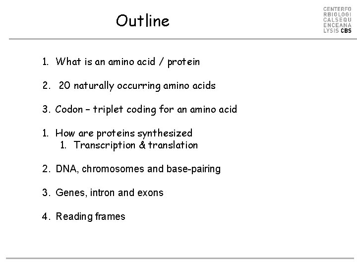 Outline 1. What is an amino acid / protein 2. 20 naturally occurring amino