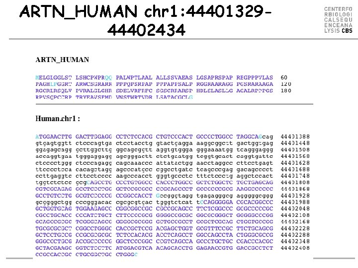 ARTN_HUMAN chr 1: 4440132944402434 