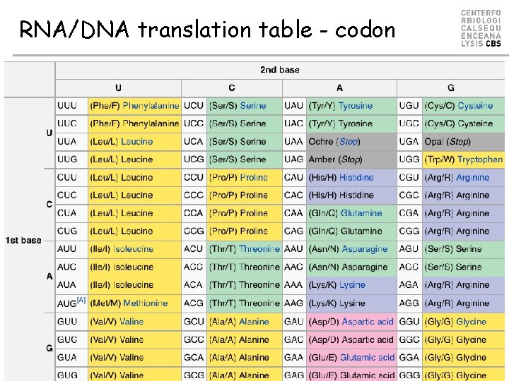 RNA/DNA translation table - codon 