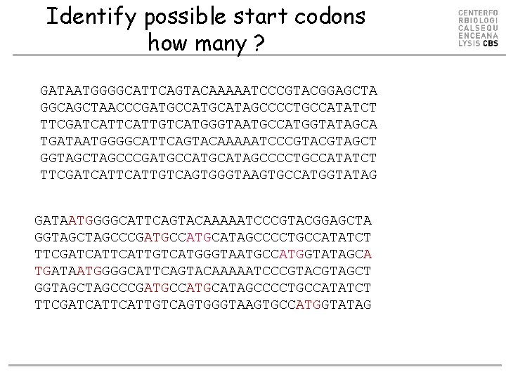 Identify possible start codons how many ? GATAATGGGGCATTCAGTACAAAAATCCCGTACGGAGCTA GGCAGCTAACCCGATGCCATGCATAGCCCCTGCCATATCT TTCGATCATTGTCATGGGTAATGCCATGGTATAGCA TGATAATGGGGCATTCAGTACAAAAATCCCGTAGCT GGTAGCCCGATGCCATGCATAGCCCCTGCCATATCT TTCGATCATTGTCAGTGGGTAAGTGCCATGGTATAG GATAATGGGGCATTCAGTACAAAAATCCCGTACGGAGCTA