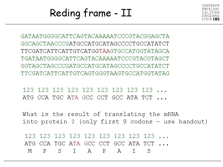 Reding frame - II GATAATGGGGCATTCAGTACAAAAATCCCGTACGGAGCTA GGCAGCTAACCCGATGCCATGCATAGCCCCTGCCATATCT TTCGATCATTGTCATGGTAAGTGCCATGGTATAGCA TGATAATGGGGCATTCAGTACAAAAATCCCGTAGCT GGTAGCCCGATGCCATGCATAGCCCCTGCCATATCT TTCGATCATTGTCAGTGGGTAAGTGCCATGGTATAG 123 123 123. .