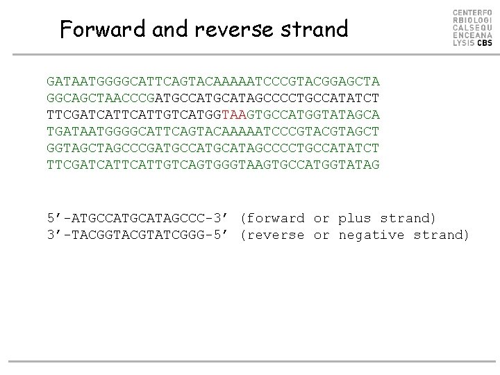 Forward and reverse strand GATAATGGGGCATTCAGTACAAAAATCCCGTACGGAGCTA GGCAGCTAACCCGATGCCATGCATAGCCCCTGCCATATCT TTCGATCATTGTCATGGTAAGTGCCATGGTATAGCA TGATAATGGGGCATTCAGTACAAAAATCCCGTAGCT GGTAGCCCGATGCCATGCATAGCCCCTGCCATATCT TTCGATCATTGTCAGTGGGTAAGTGCCATGGTATAG 5’-ATGCCATGCATAGCCC-3’ (forward or plus