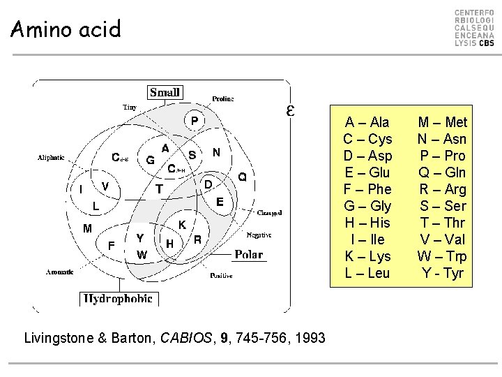 Amino acid Amino Acids A – Ala C – Cys D – Asp E