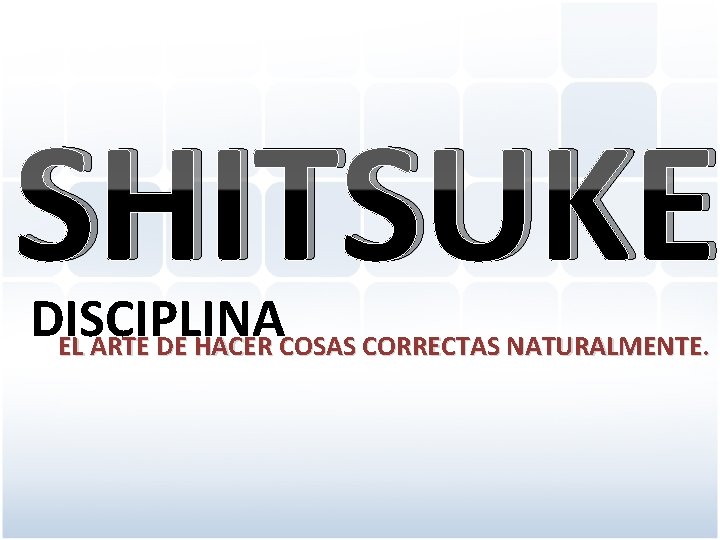 SHITSUKE DISCIPLINA EL ARTE DE HACER COSAS CORRECTAS NATURALMENTE. 