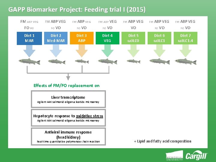 Biomarker Platform for Commercial Aquaculture Feed Development project