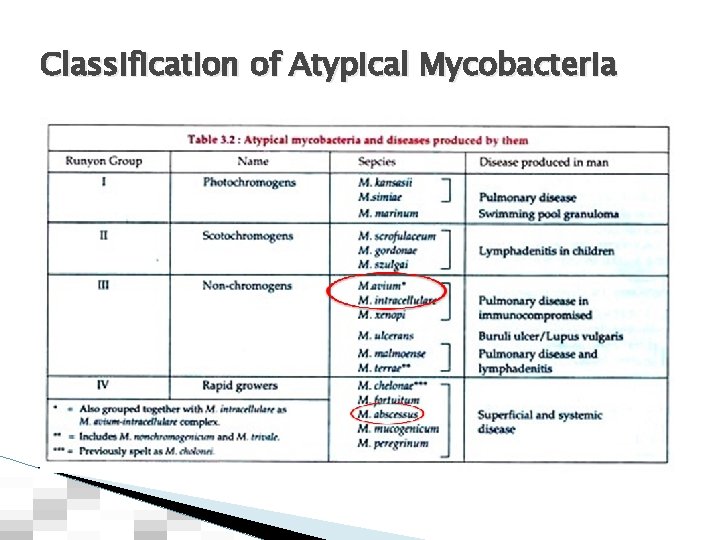 Classification of Atypical Mycobacteria 