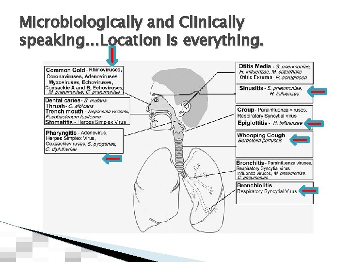 Microbiologically and Clinically speaking…Location is everything. 