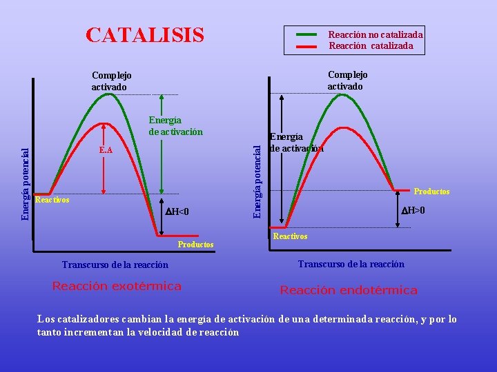 CATALISIS Reacción no catalizada Reacción catalizada Complejo activado E. A Reactivos H<0 Productos Energía